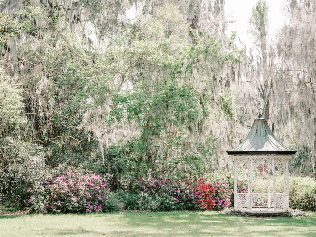 Magnolia Gardens photographed by wedding photographers in Charleston SC, Amy Mulder Photography.