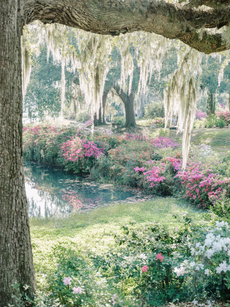 Middleton Place Gardens photographed by wedding photographers in Charleston SC, Amy Mulder Photography.