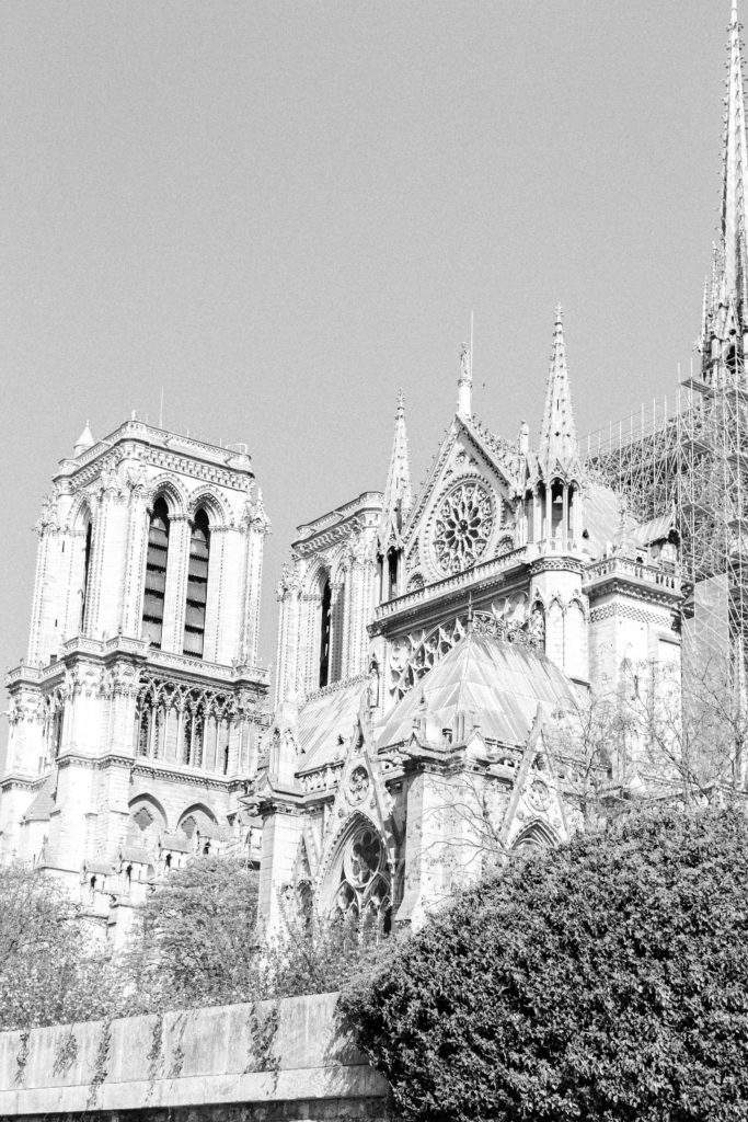 Notre Dame in Paris. Photographed by Wedding photographers in France, Amy Mulder Photography