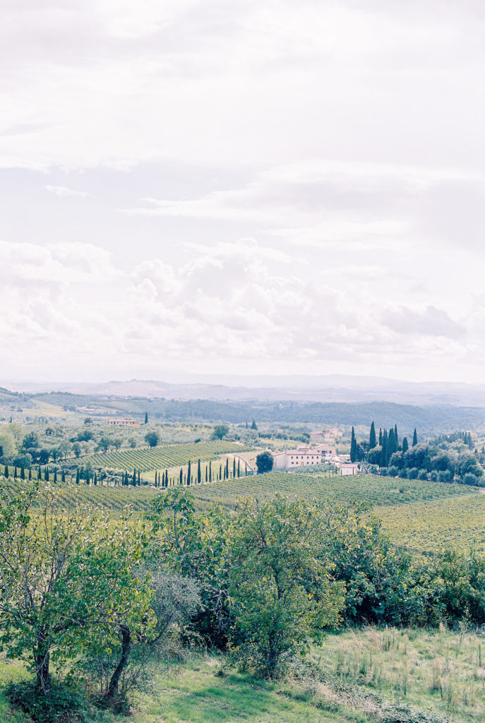 Views of miles of rolling landscape of vineyards and luscious greens of Tuscany Italy 