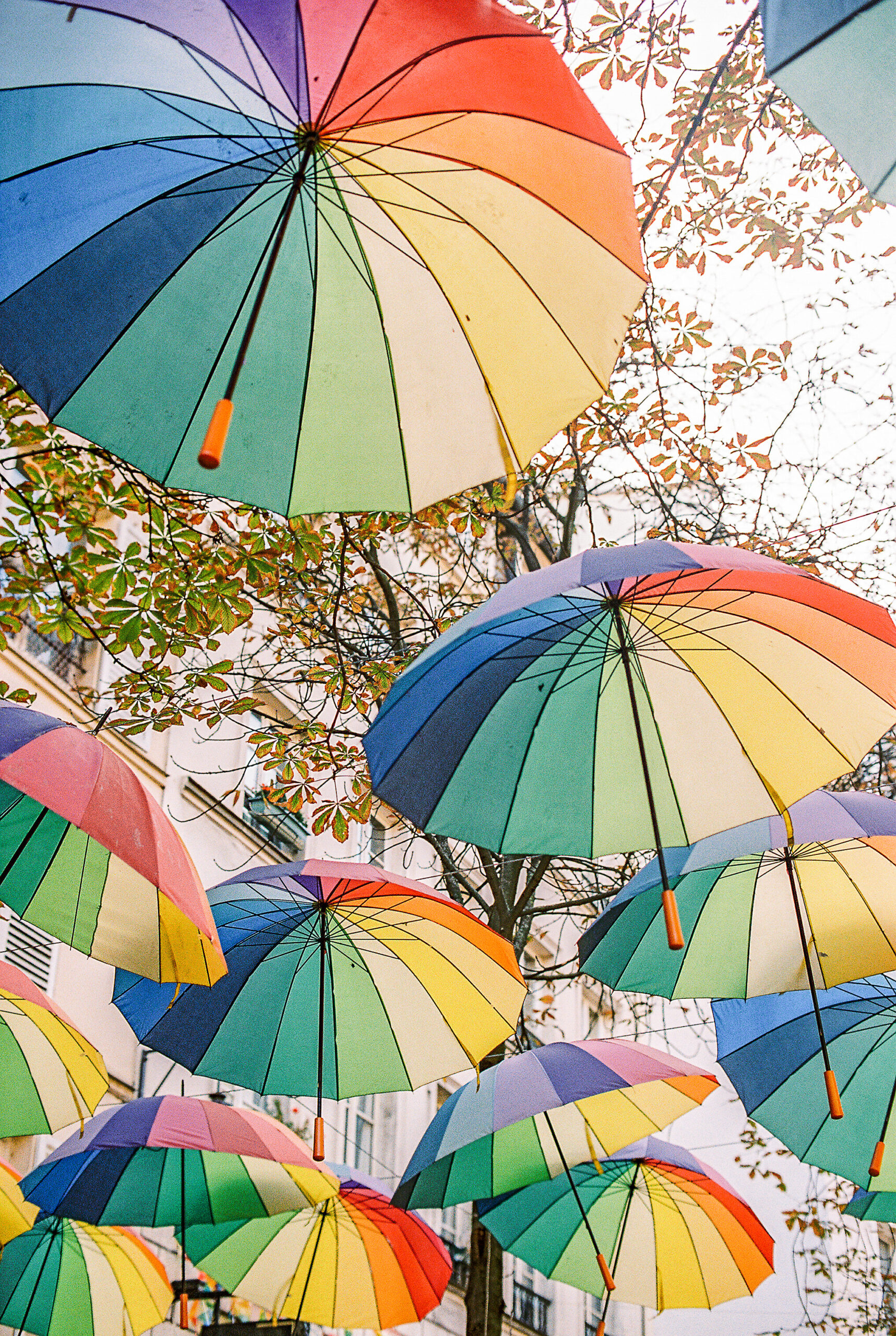 Streets of Paris France with rainbow colored umbrellas in a canopy over the sidewalk